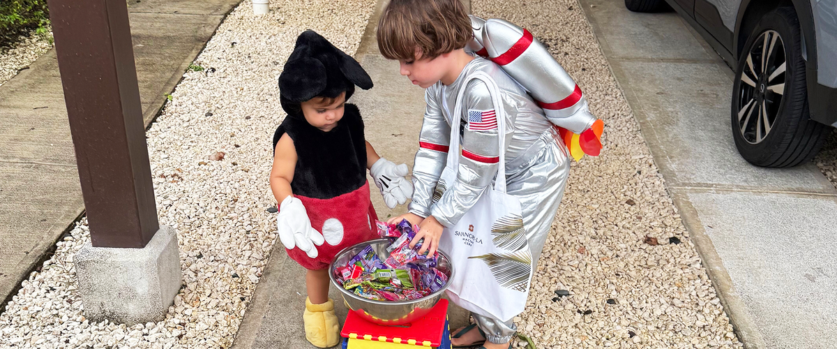 Parrots, patience, and Halloween costumes 🦜