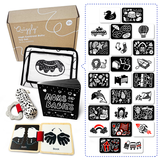 5-in-1 High-Contrast Newborn Toy Set with 25 included flashcards for sensory and developmental play